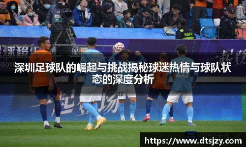 深圳足球队的崛起与挑战揭秘球迷热情与球队状态的深度分析