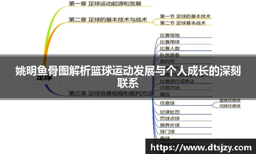 姚明鱼骨图解析篮球运动发展与个人成长的深刻联系